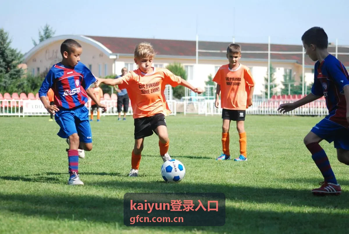 kaiyun登录入口登录安全校验能力示意