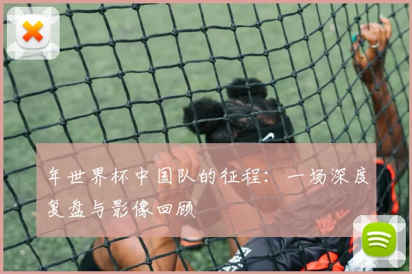 年世界杯中国队的征程：一场深度复盘与影像回顾