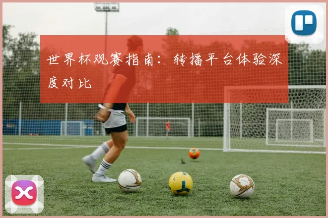 世界杯观赛指南：转播平台体验深度对比